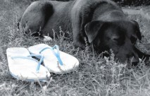 Neither Kind Nor&nbsp;Patient