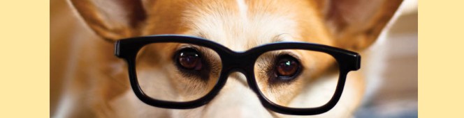 In Print at&nbsp;Last!